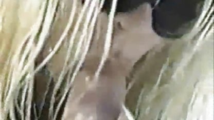 به طور جدی و رفتار مانند یک قهرمان کوس و کون کردن, در پایان, اخبار گوناگون پسر جسارت شد